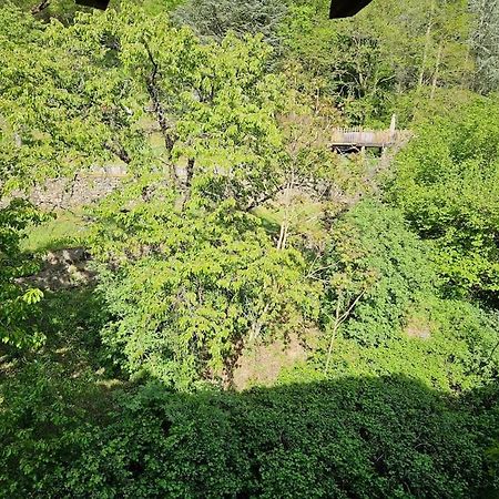 Appartement Malleval Chez Jeanne Luaran gambar